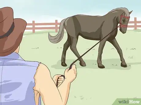 Imagen titulada Break a Horse Step 14
