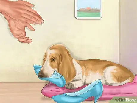 Imagen titulada Discipline Your Puppy Step 4