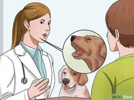 Imagen titulada Train Dogs Not to Bark Step 9