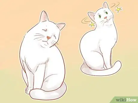 Imagen titulada Know if Your Cat Is Sick Step 12
