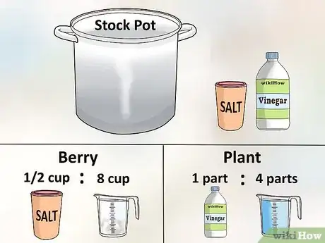 Imagen titulada Set Tie Dye Step 1