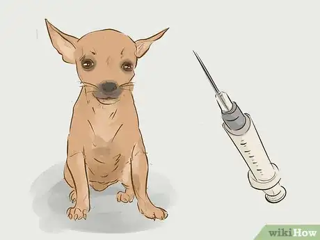 Imagen titulada Prevent a Rabies Infection Step 1