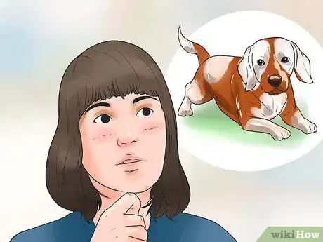 Imagen titulada Take Care of a Beagle Puppy Step 1