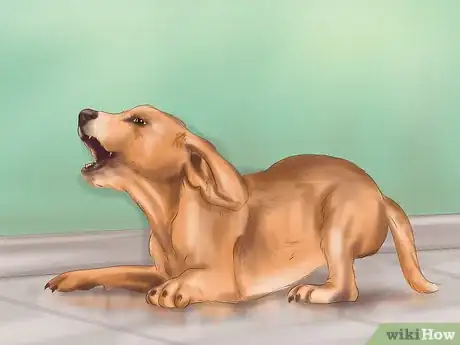 Imagen titulada Discipline Your Puppy Step 3