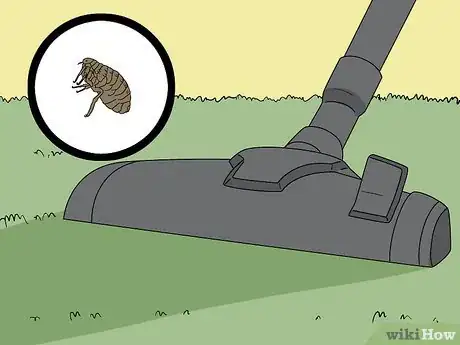 Imagen titulada Do Pest Control With a Vacuum Cleaner Step 10