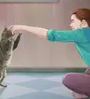 hacer que tu computadora sea a prueba de gatos