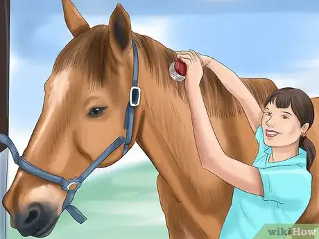 Imagen titulada Bathe a Horse Step 12