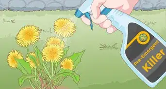 deshacerte de los dientes de león en tu jardín
