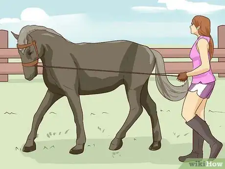 Imagen titulada Break a Horse Step 11