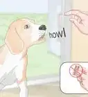 enseñar a aullar a tu perro