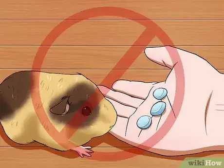 Imagen titulada Help a Constipated Guinea Pig Step 4