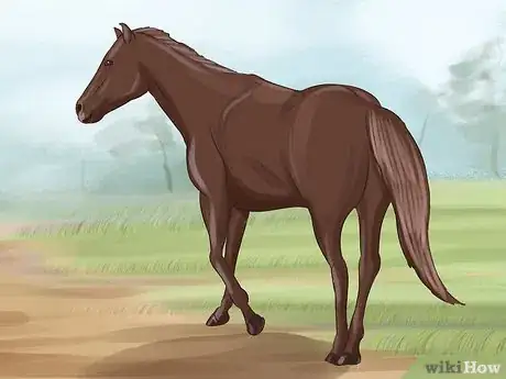 Imagen titulada Tame a Horse or Pony Step 17