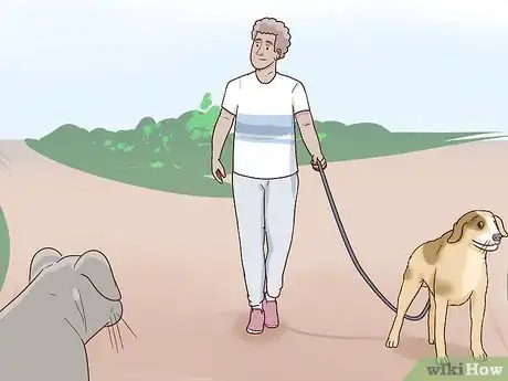 Imagen titulada Calm an Aggressive Dog Step 9