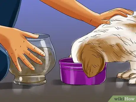 Imagen titulada Introduce a Puppy to a Dog Step 19