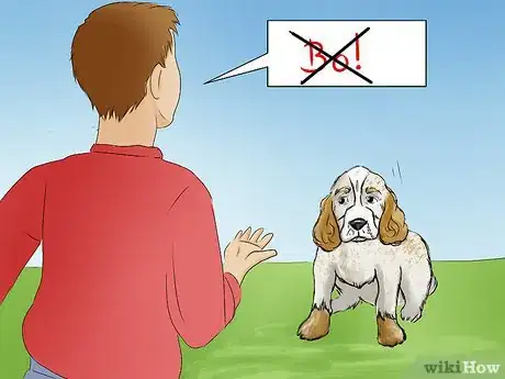 Imagen titulada Choose a Name for a Pet Step 12