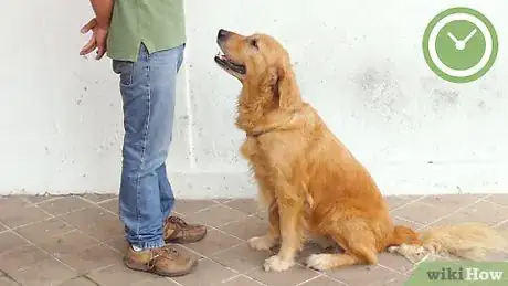 Imagen titulada Teach Your Dog to Sit Step 20