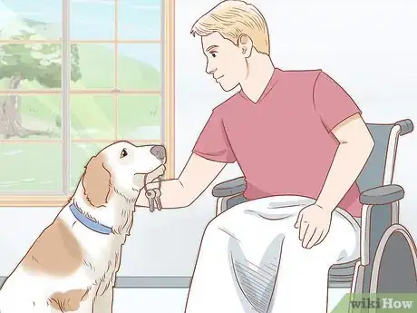Imagen titulada Train Your Service Dog Without a Professional Trainer Step 13