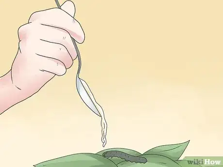 Imagen titulada Control Cutworms Step 9
