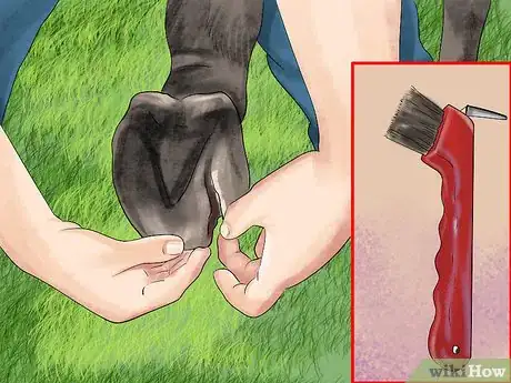 Imagen titulada Treat a Hoof Abscess in Horses Step 3