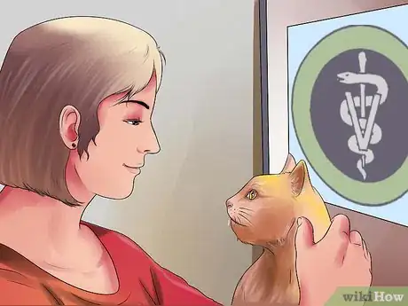 Imagen titulada Prepare Your Cat for Surgery Step 16