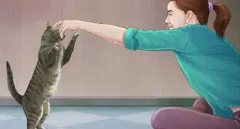 hacer que tu computadora sea a prueba de gatos