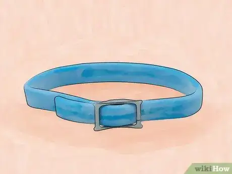 Imagen titulada Kill Fleas and Ticks in Your Home Step 10