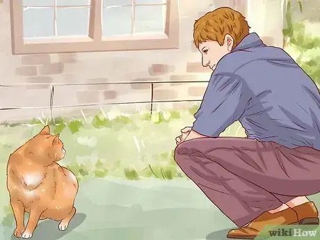 Imagen titulada Catch a Stray Cat Step 1