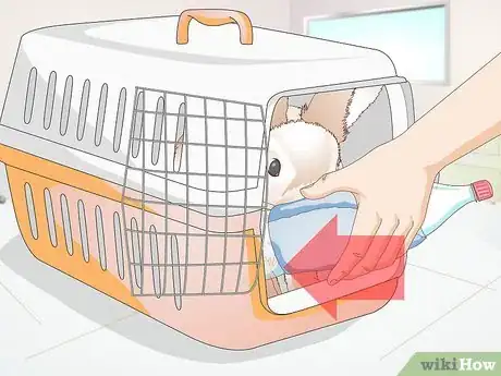 Imagen titulada Care for Your Rabbit After Neutering or Spaying Step 6