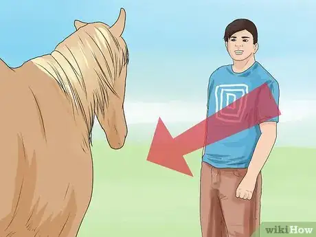 Imagen titulada Approach Your Horse Step 4