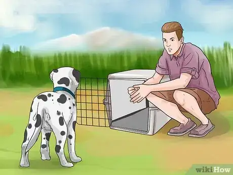 Imagen titulada Care for a Dalmatian Step 16