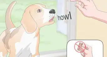 enseñar a aullar a tu perro