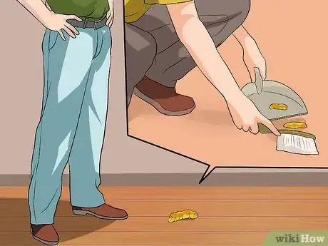 Imagen titulada Diagnose Whipworms in Dogs Step 8