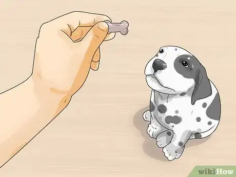 Imagen titulada Care for a Dalmatian Step 19