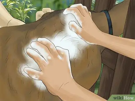 Imagen titulada Wash a Goat Step 3