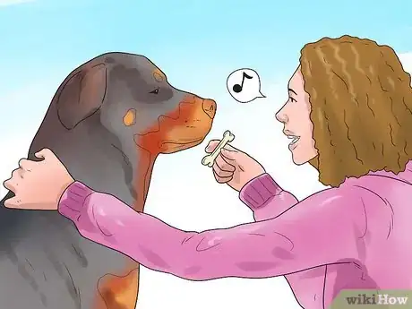 Imagen titulada Teach Your Dog Tricks Step 13
