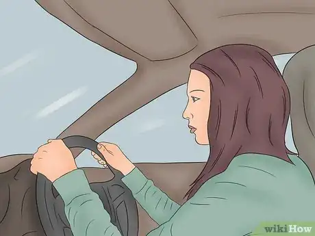 Imagen titulada Safely Transport Your Guinea Pigs in the Car Step 8