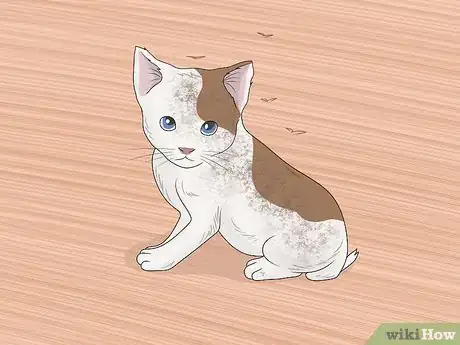 Imagen titulada Bathe a Kitten Step 1