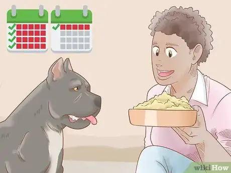Imagen titulada Breed Cane Corso Step 12