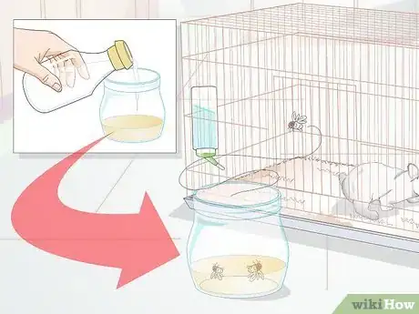 Imagen titulada Keep Flies out of an Indoor Pet Cage Step 12