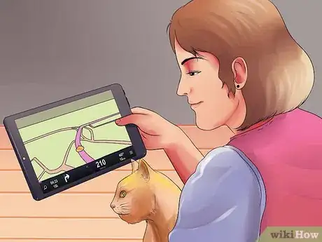 Imagen titulada Prepare Your Cat for Surgery Step 11