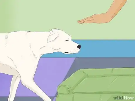 Imagen titulada Make Your Dog Stop Sleeping in Your Bed Step 12
