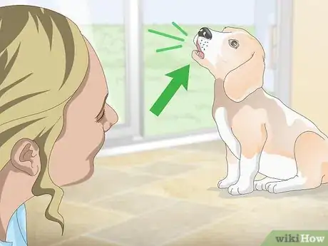 Imagen titulada Teach Your Dog to Howl Step 1