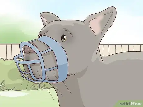 Imagen titulada Calm an Aggressive Dog Step 7