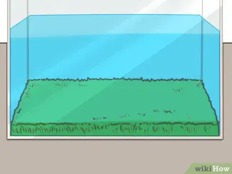 Imagen titulada Care for an Axolotl Step 3