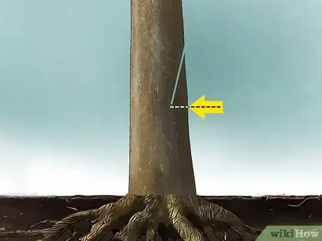 Imagen titulada Fell a Tree Step 9