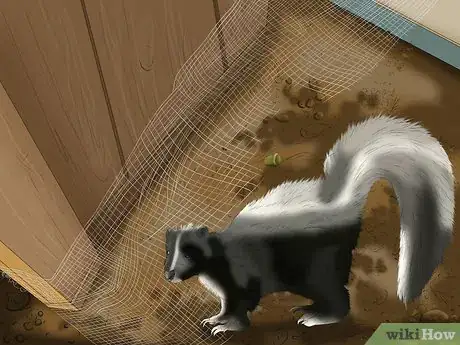 Imagen titulada Care for a Skunk Sprayed Dog Step 16