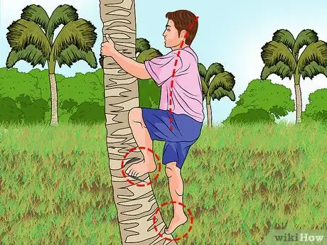 Imagen titulada Climb a Palm Tree Step 5