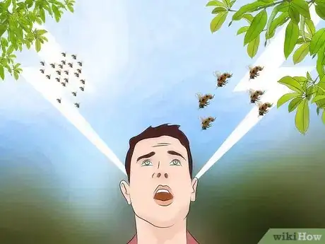 Imagen titulada Identify Africanized Honey Bees Step 2