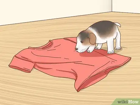 Imagen titulada Adopt a Puppy Step 12