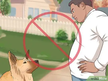 Imagen titulada Tell if a Dog Is Going to Attack Step 5
